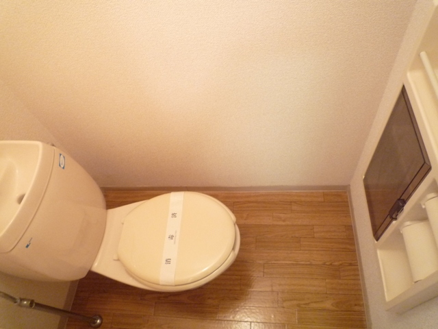 Toilet. Clean flush toilet! Also equipped with paper storage shelf!