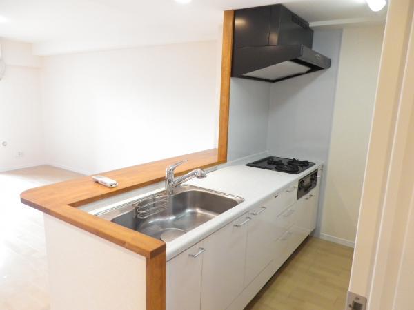 Kitchen. Takara Standard Countertops made of kitchen. It is clean very convenient ventilation fan!