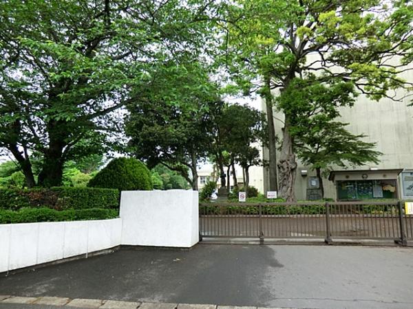Primary school. 240m Sakura Municipal Sakura elementary school to Sakura Municipal Sakura Elementary School
