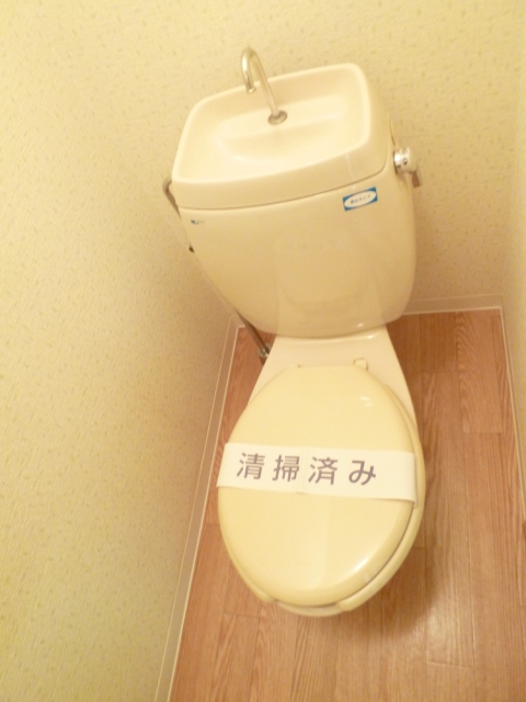 Toilet. Life a flush toilet equipped