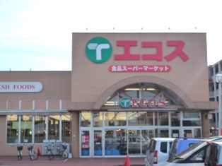 Supermarket. Ecos Sakura store up to (super) 384m