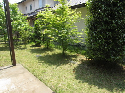 Other. Garden