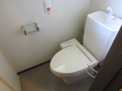 Toilet. First floor toilet