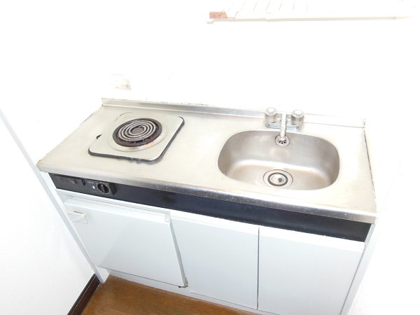 Kitchen. Electric stove with kitchen