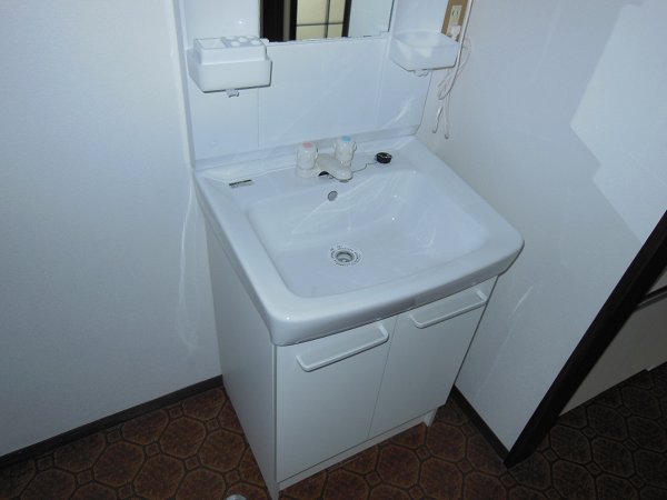 Washroom. Bathroom vanity