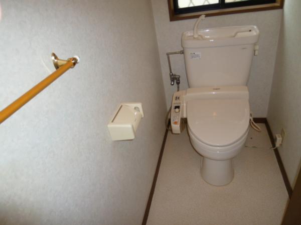 Toilet. Safe toilet with handrail