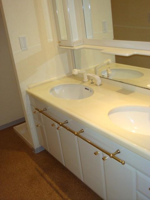 Wash basin, toilet. Basin 2 bowl Is also wide with a space alongside two people.