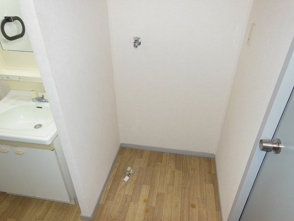 Washroom. Laundry Area