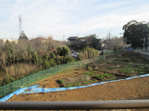 View photos from the dwelling unit