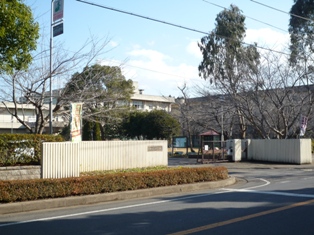 Primary school. 582m until Sakura Municipal Kotake elementary school (elementary school)