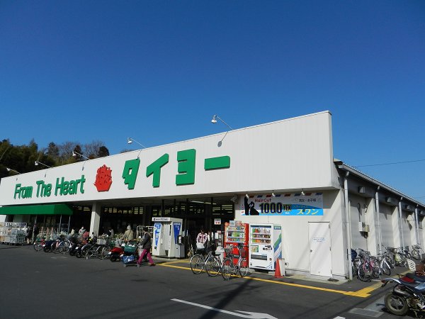 Supermarket. 1000m to Taiyo (super)