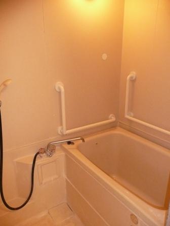 Bathroom. Bathroom handrail is installed