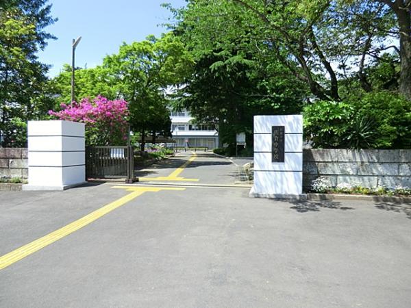 Junior high school. 1000m to Sakura junior high school
