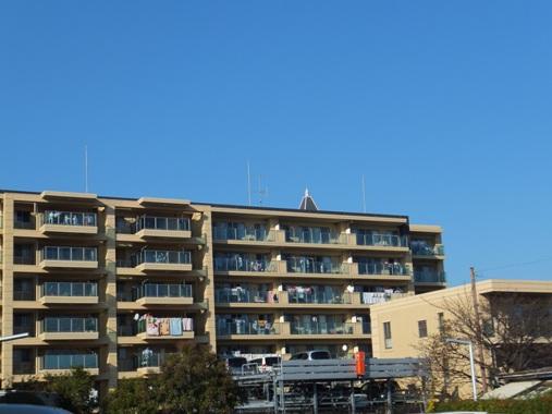 Local appearance photo. Local (11 May 2013) Shooting