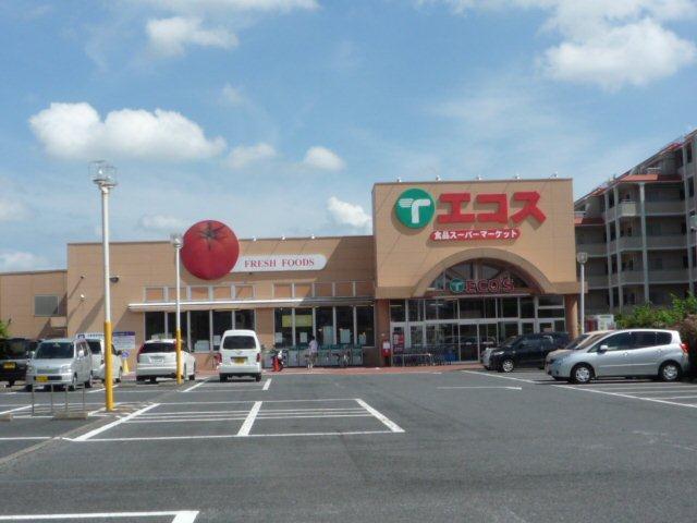 Supermarket. Ecos 528m until Sakura shop
