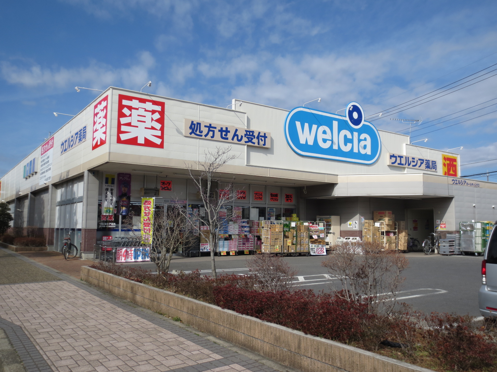 Dorakkusutoa. Uerushia Sakura Someino shop 563m until (drugstore)