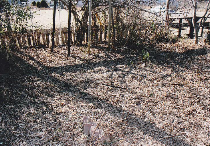 Garden. South side of the large garden