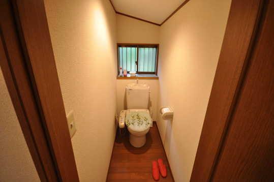 Toilet. Togane island Existing home