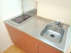 Kitchen. Electric stove 2-neck, Spacious type