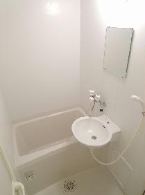 Bath. Basin integrated bathroom