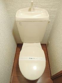 Toilet. Toilet