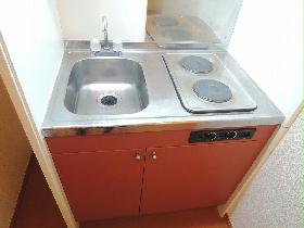 Kitchen. Electric stove 2-neck