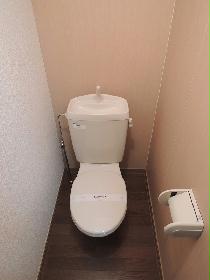 Toilet. Toilet