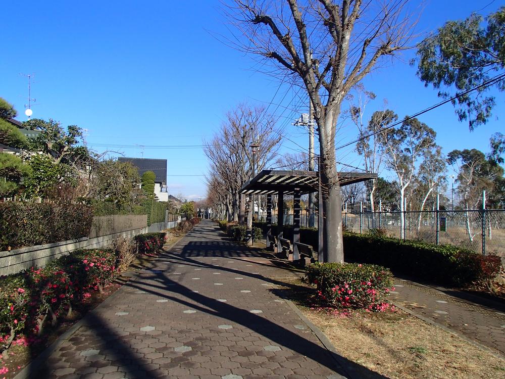 Local land photo. Local sidewalk (December 2014) Shooting  Pedestrian road leading to KitaSosen "west Shirai Station"