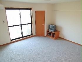 Living and room. Second floor carpet
