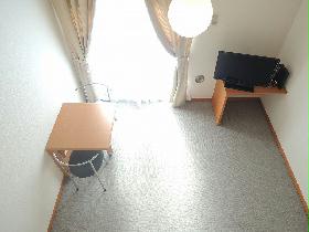 Living and room. Second floor carpet
