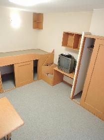 Living and room. With storage bed type of room