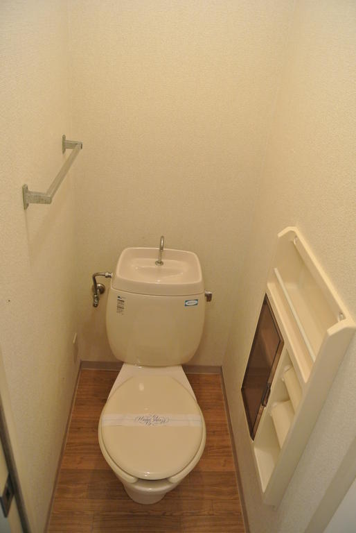 Toilet. With storage toilet