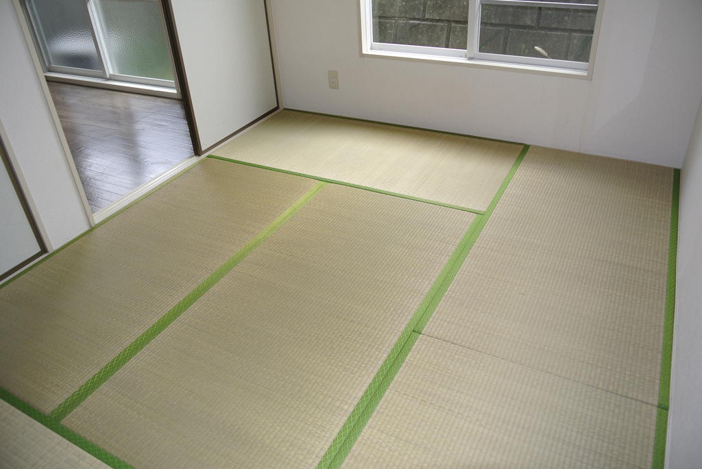 Other room space. Japanese style room