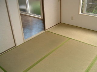 Other room space. Japanese style room