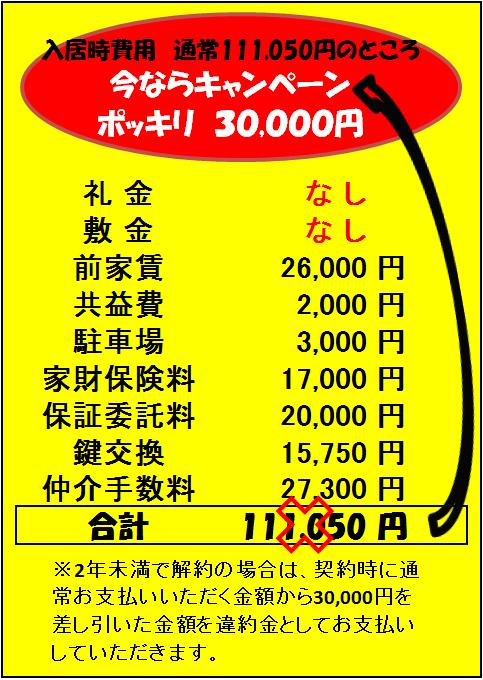 Other. Initial cost