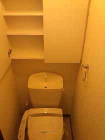 Toilet. Also storage rack mounted on the toilet