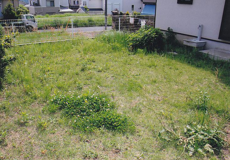 Garden. South side of the large garden