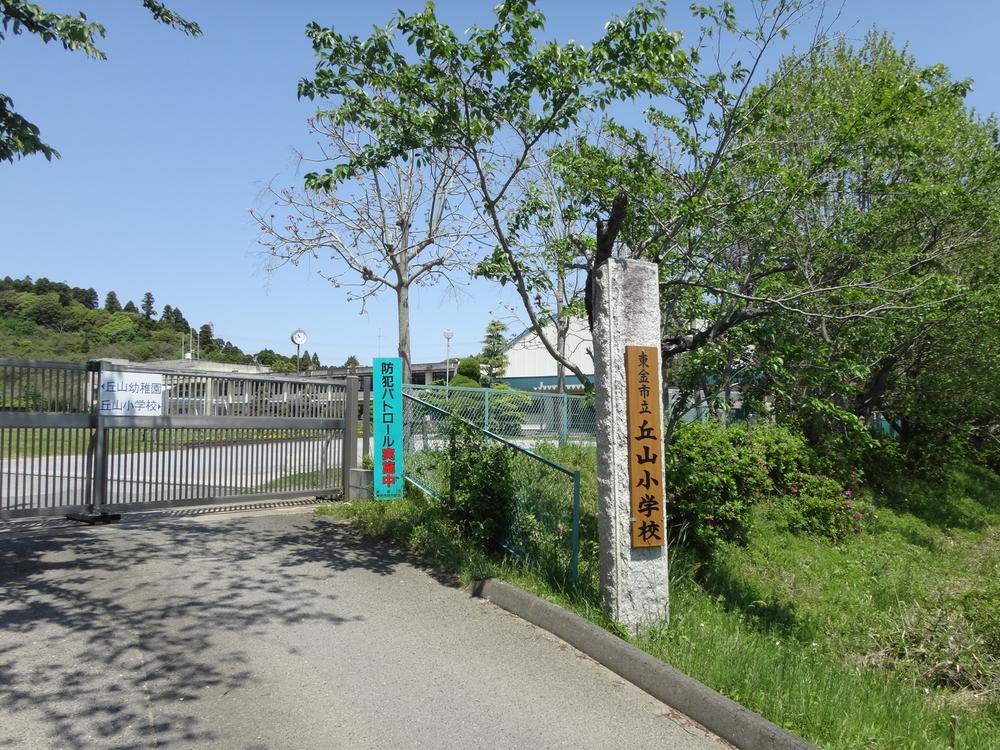 Other. Okayama elementary school
