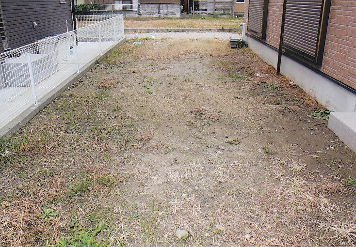 Garden. Home garden site