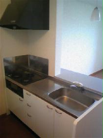 Kitchen. Gas stove 3-neck with grill