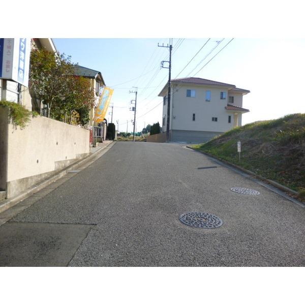 Other local. Frontal road