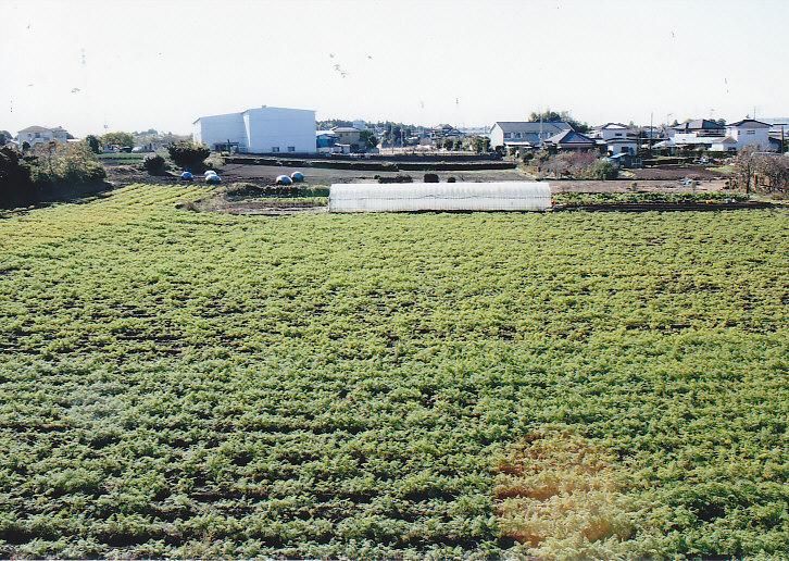 View photos from the dwelling unit. The south side of the countryside