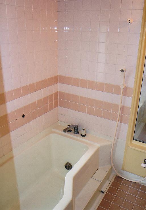 Bathroom. Bathroom stylish design