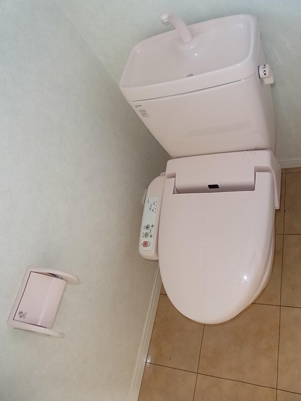 Toilet. Indoor (March 2013) Shooting