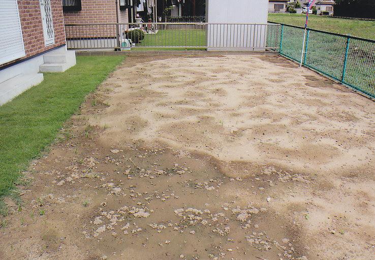 Garden. South side of the large garden