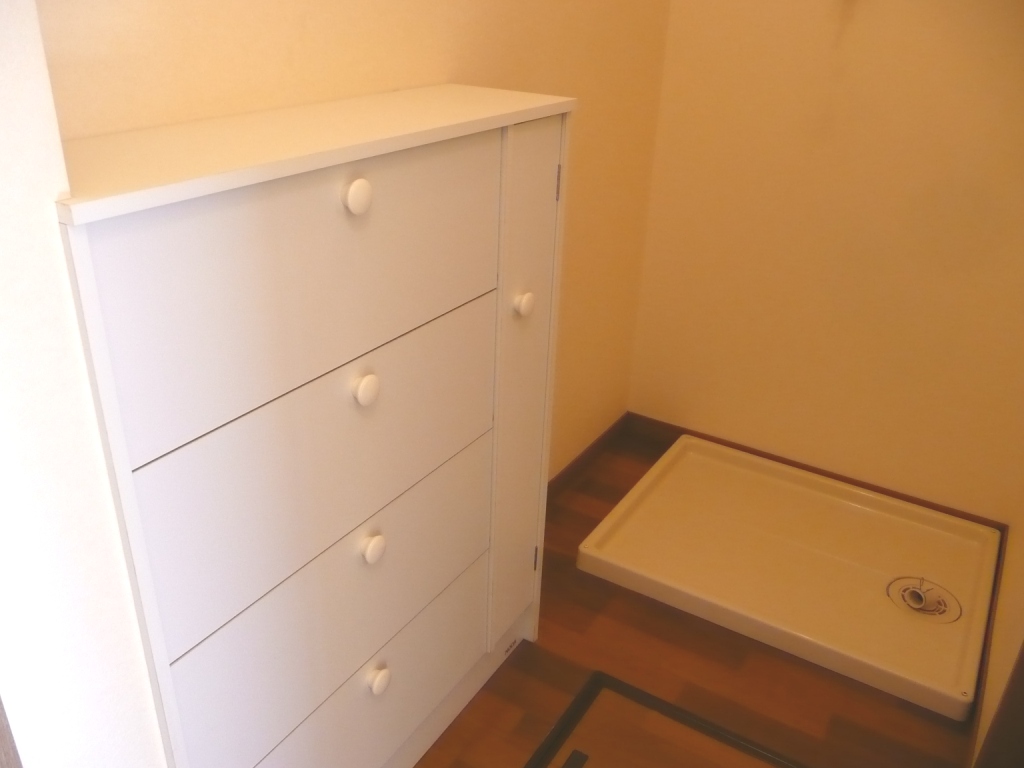 Other. Shoe box