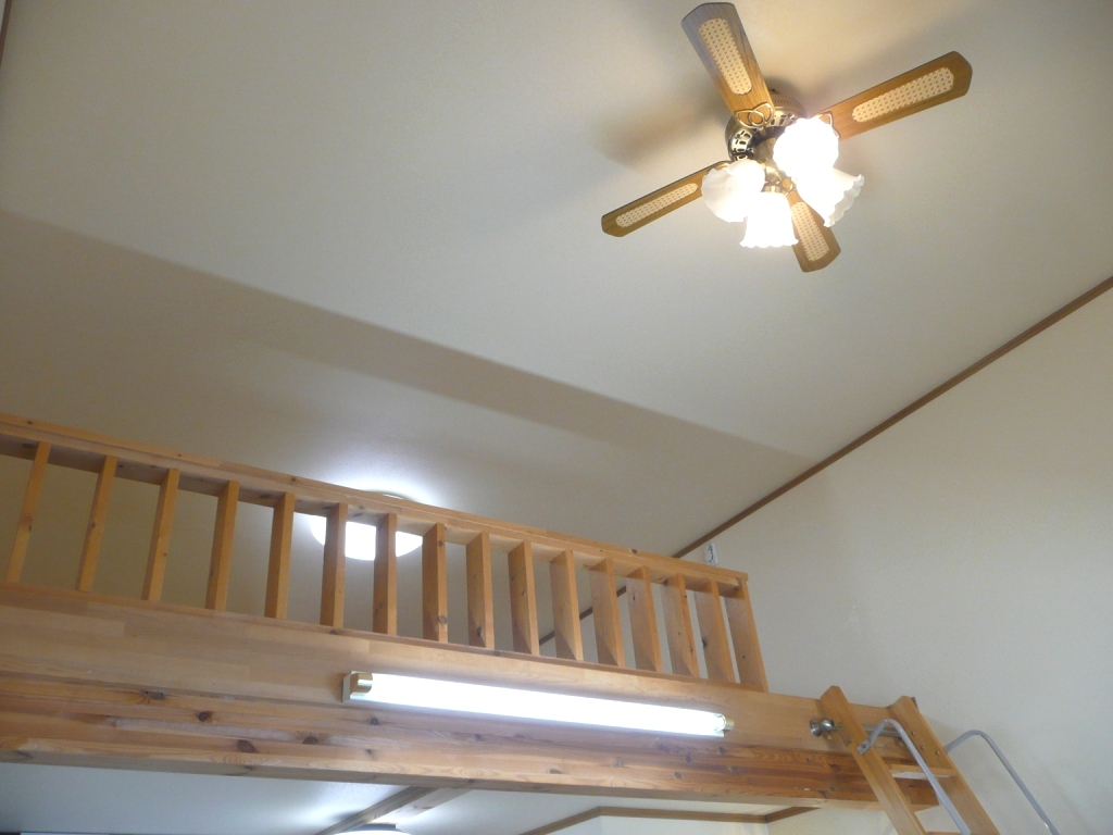 Other. Spacious loft