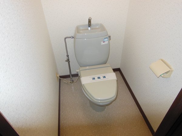 Toilet. Toilet