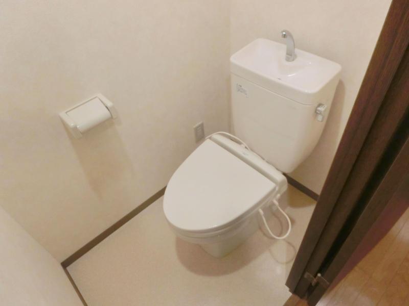 Other. It is a toilet with a clean! !