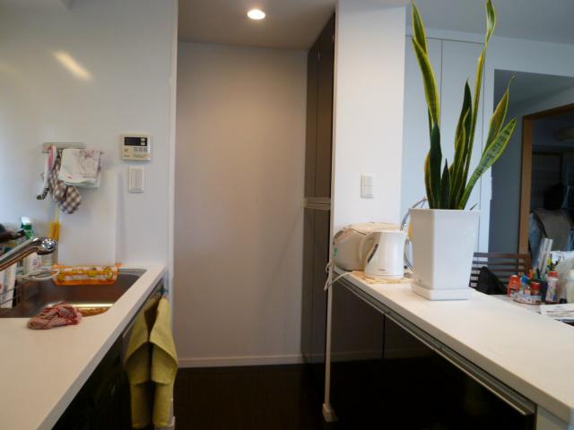 Kitchen. Is across the street from the kitchen can be, such as the storage dishes and ingredients, It also can be stored under the counter.